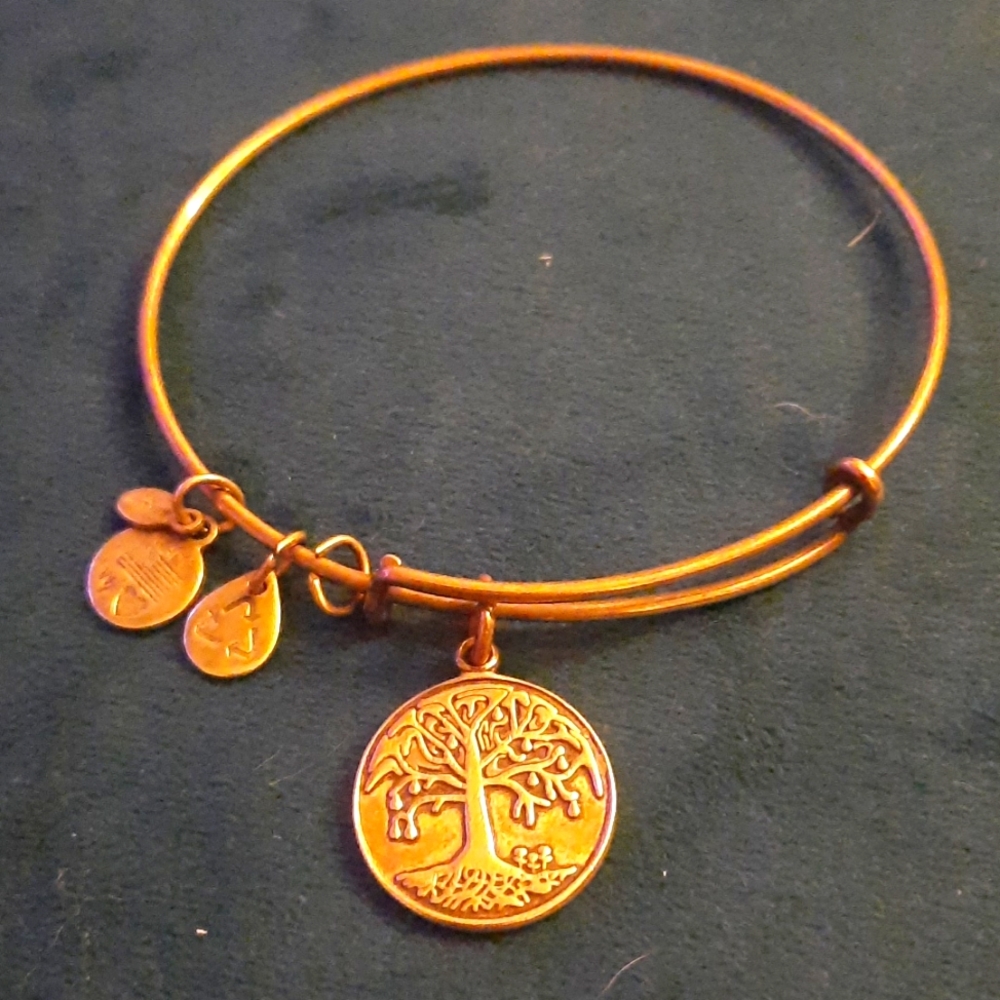 Gold Alex and Ani Living Tree Bracelet